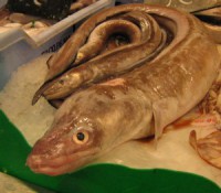 Comprar safio à posta