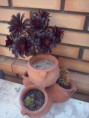 Cinzeiro para jardins