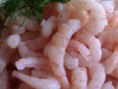 Utilizar cascas e cabeças cruas de camarão/gambas